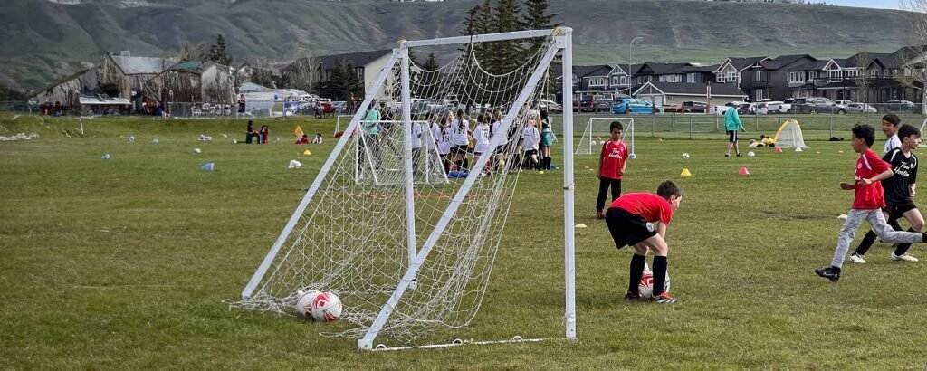 The Essentials of Soccer Goals