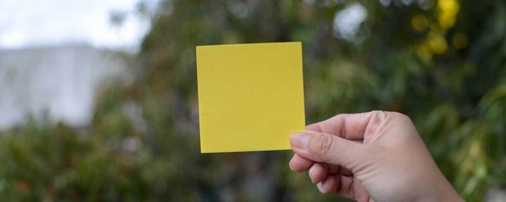 Understanding the Yellow Card in Soccer: What It Means for Players